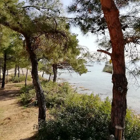 F & B Summer Collection - Flats * سوزوبولي