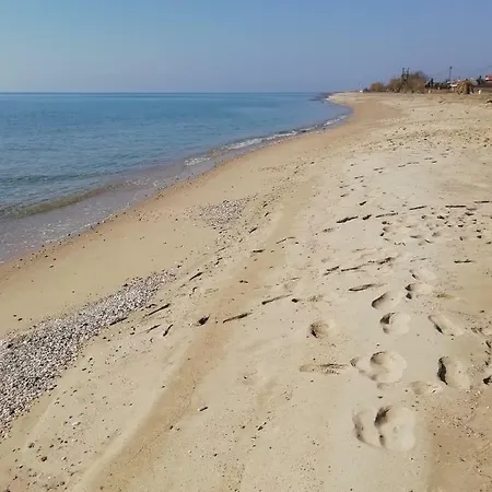 F & B Summer Collection - Flats بيت للعطل سوزوبولي