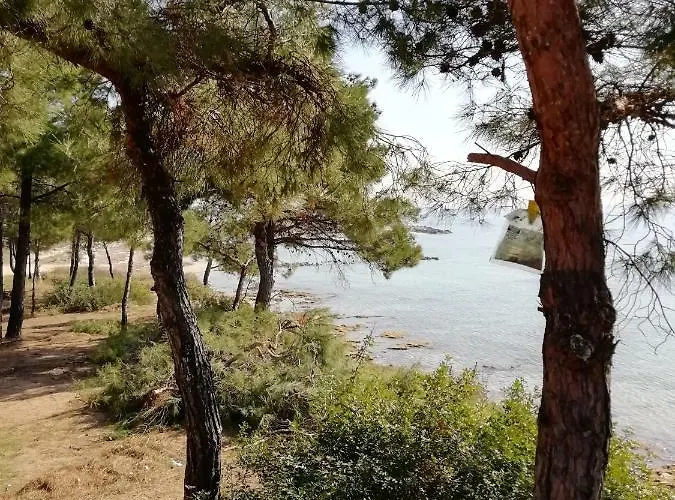 F & B Summer Collection - Flats * Sozopoli